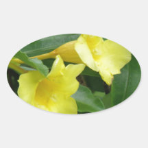 Blooming Yellow Trumpet Vine Oval Stickers