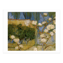 Blossoming Pear Tree, Vincent van Gogh Post Cards