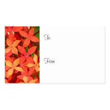 "Blossoms" Florist Gift Cards Business Card