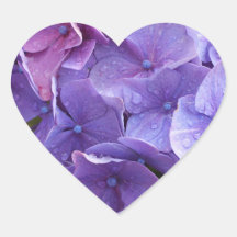 Blue and pink hortensia close up heart stickers