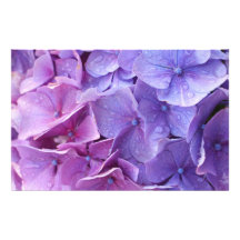 Blue and pink hortensia close up stationery