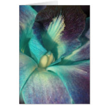 Blue and purple orchid close up greeting card