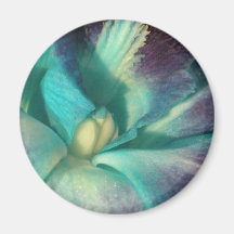 Blue and purple orchid close up magnets