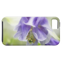 Blue And White Frilly Columbine iPhone 5 Cases