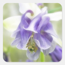 Blue And White Frilly Columbine Square Sticker