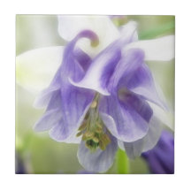 Blue And White Frilly Columbine Ceramic Tile