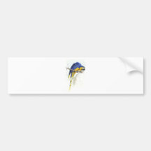 Blue and Yellow Maccaw by Edward Lear Bumper Sticker