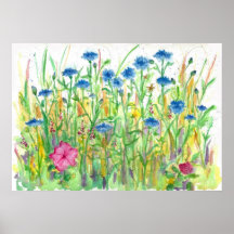 Blue Bachelor Button Cornflower Watercolor Art Posters