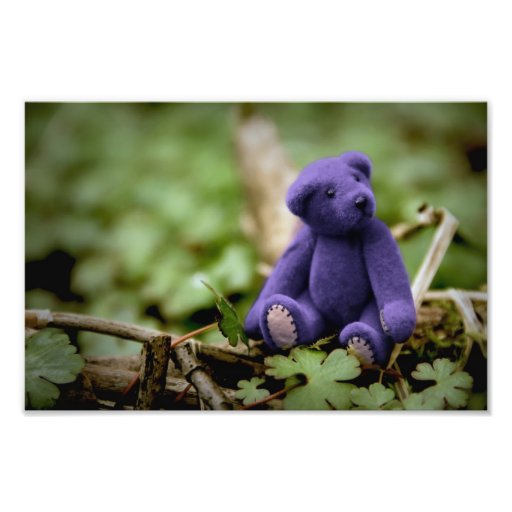 Blue Bear Photo Art