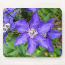 Blue Beauty Mouse Pads