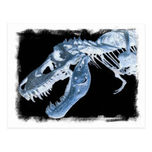 Blue & Black T-Rex X-Ray Bones Photo Post Card