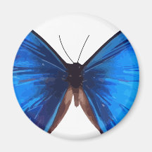 blue butterfly design magnets
