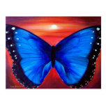 Blue Butterfly Morph Sunset - Multi Postcards