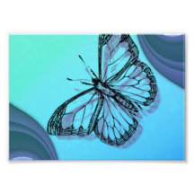 Blue Butterfly Photo Art