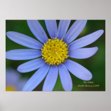 Blue Daisy Print - Select Your Frame
