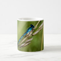 Blue Damselfly macro mugs