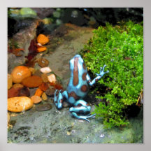 Blue Dart Frog CB Posters