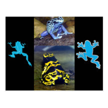 BLUE DART FROG POST CARDS