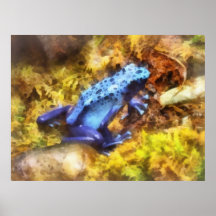 Blue Dart Frog Poster