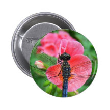 Blue dragonfly on pink flower green background