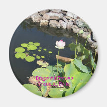 Blue Dragonfly on Pink Waterlily Refrigerator Magnet