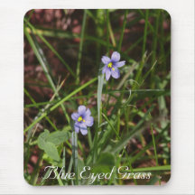 Blue Eyed Grass Mousepad