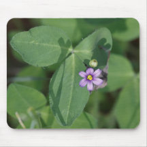 Blue Eyed Grass Mousepads