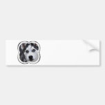 Blue Eyed Husky  Bumper Sticker