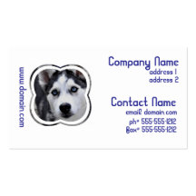 Blue Eyed Husky Business Cards