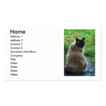 Blue Eyed Kitty Cat Business Card