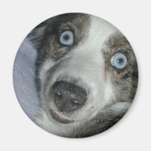 Blue Eyes Fridge Magnets