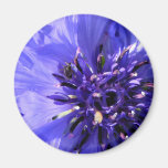 Blue Flower Fridge Magnets