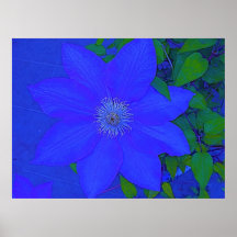 Blue Flower Urchin Print
