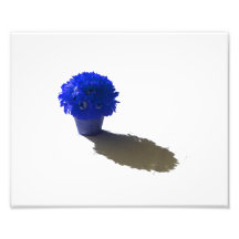 Blue Flowers White Bucket and Shadow Photo