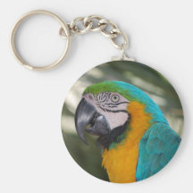 Blue & Gold Macaw Parrot Keychain