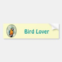 Blue & Gold Macaw with Jungle Background Bumper Sticker