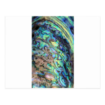 Blue green paua abalone shell detail post cards