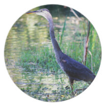 Blue Heron In Pond Party Plate