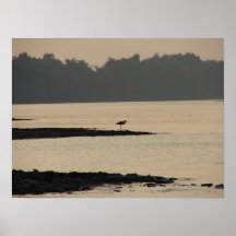 Blue Heron on the Mississippi River at Sunset Print