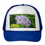 Blue Hydrangea Hats