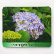 Blue Hydrangea mousepads