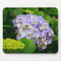 Blue Hydrangea mousepads