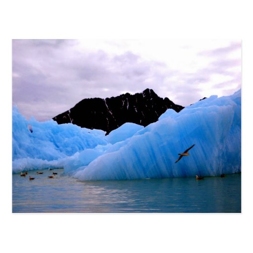 Blue ice berg postcard