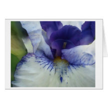 Blue Iris painting Card