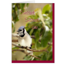 Blue Jay 6435 Secret Sister- customize Greeting Card
