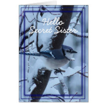 Blue Jay 7133- customize any occasion Card