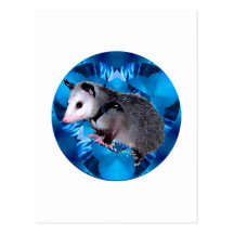 Blue Kaleidoscope Possum Post Card