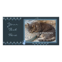 Blue Kitty Frame Photo Card