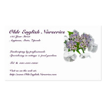 Blue Lace Hydrangea Business Card