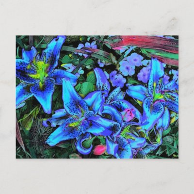 Blue Lilies Flowers